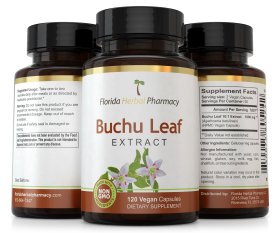 Buchu Leaf Extract Capsules