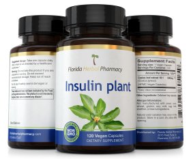 Insulin Plant Costus Igneus Leaf Capsules