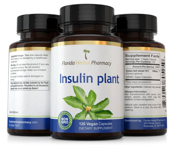 (image for) Insulin Plant Costus Igneus Leaf Capsules