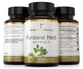 Purslane Herb Extract Capsules