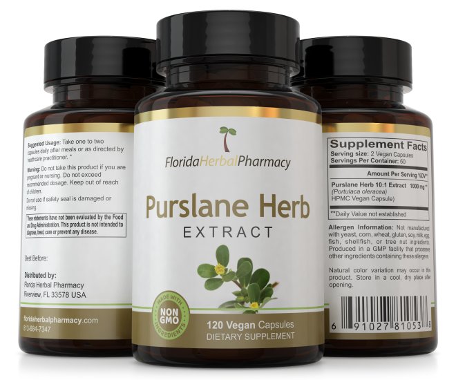 (image for) Purslane Herb Extract Capsules - Click Image to Close